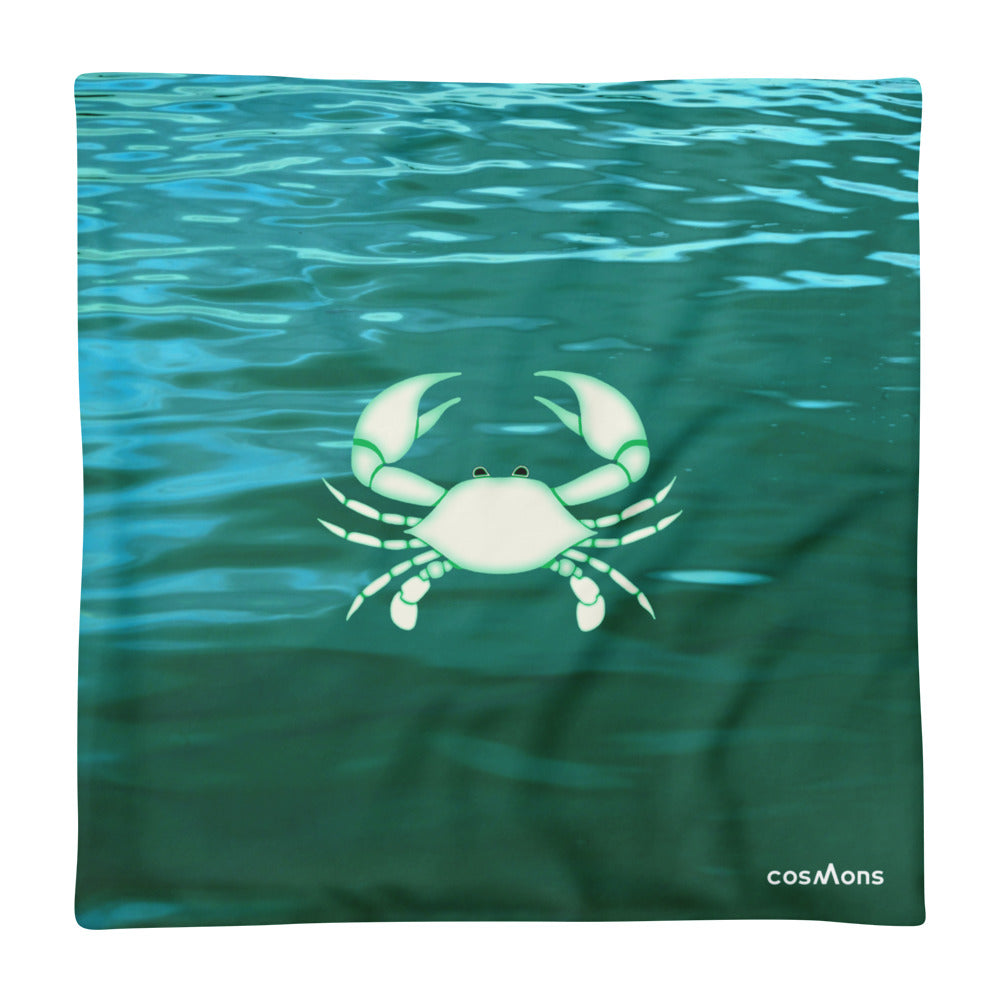 Cancer Pillow Case - Sign Element Design